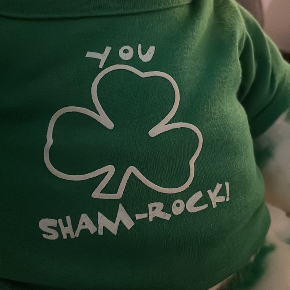 BUILD A BEAR SHAMROCK BEAR - Picture 2 of 5